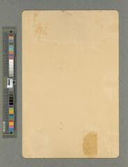 Go to image 4.