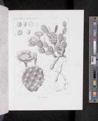 Go to image 632.