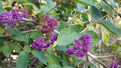 Go to image 7.