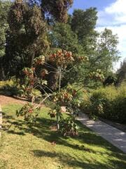 Go to image 19.