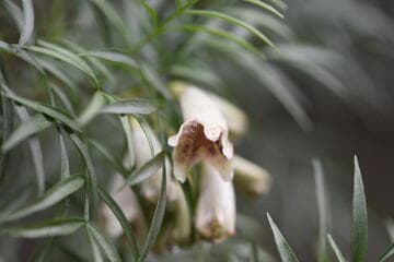 Go to image 4.