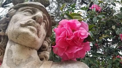 Go to image 2.