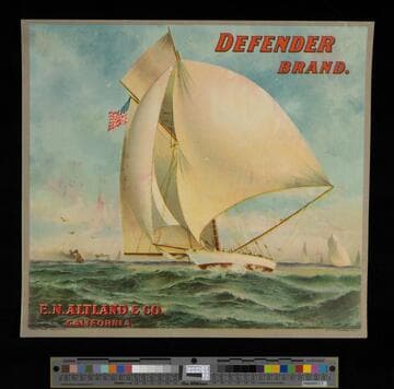 Defender brand