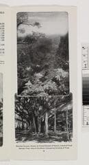 Go to image 16.