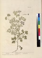 Go to image 21.