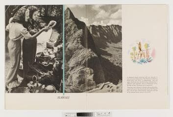 Go to image 6.