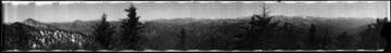 Mountains with snow and trees