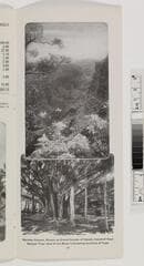 Go to image 16.