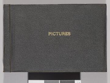 Pictures