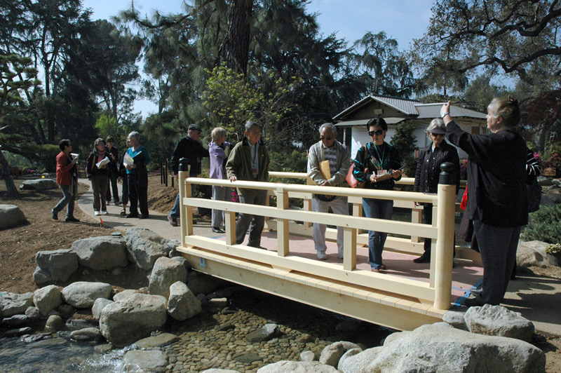 Docents tour the new tea garden surrounding the ceremonial teahouse (seen in the background). Docents tour the new tea garden surrounding the ceremonial teahouse (seen in the background).